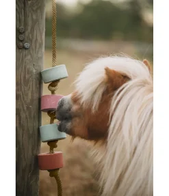Pierre à lécher Salty Lick Spirulina