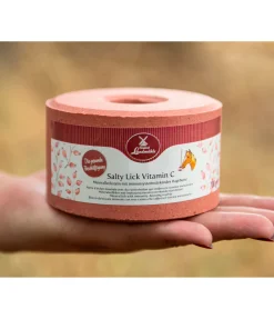 Pierre à lécher Salty Lick Vitamine C