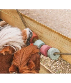 Pierre à lécher Salty Lick Vitamine C