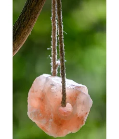 Pierre à lécher de l'Himalaya