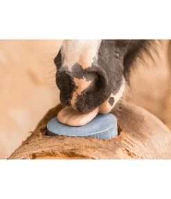 Pierre à lécher minérale ANTIFLY