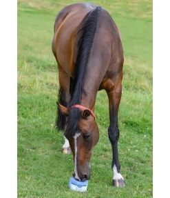 Pierre à lécher minérale ANTIFLY