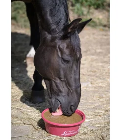 Pierre à lécher minérale Daily