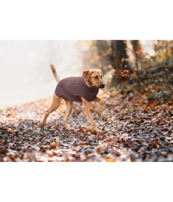 Pull col roulé Maisie