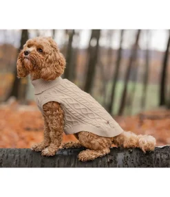 Pull col roulé Maisie