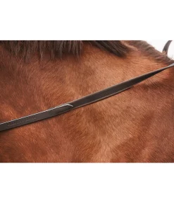 Rênes en cuir Anti-Slip