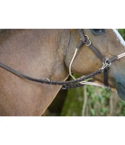 Rênes en cuir tressé 2 en 1 Tromm
