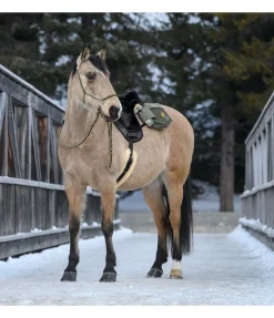 Rênes fermées en coton Trail Riding