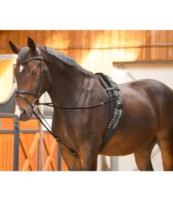 Rênes viennoises Quick Snap