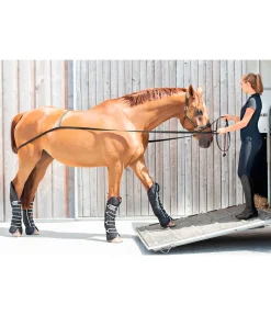 Sangle d'embarquement Quick