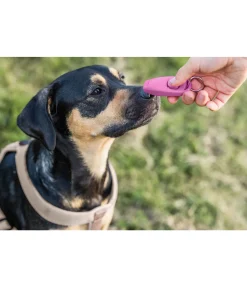 Sifflet combiné avec clicker