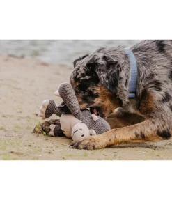 Singe en peluche pour chien Alfie