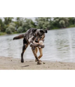 Singe en peluche pour chien Alfie