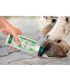 Soin durcissant pour sabots