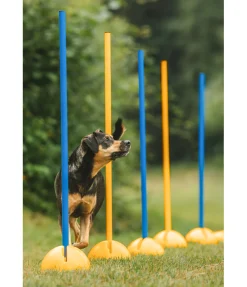 Supports d'agility