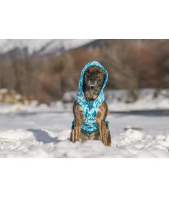 Sweat à capuche pour chien Daphne
