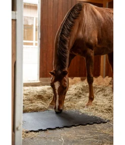 Tapis d'écurie