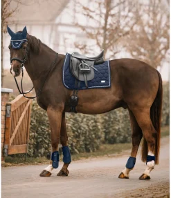 Tapis de selle Sophistication sans passants de contre-sanglons