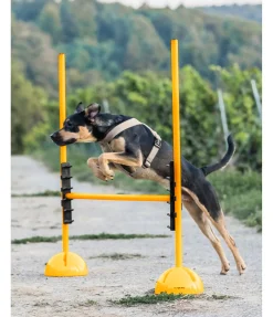 Taquets d'agility