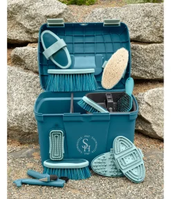 Étrille de tête Scratchy