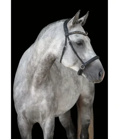 Têtière en cuir gras sans mors Mix & Match