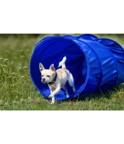 Tunnel d'agility
